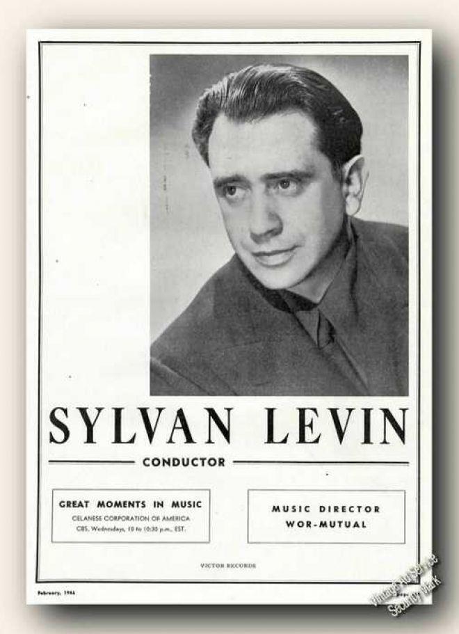 Sylvan Levin Net Worth