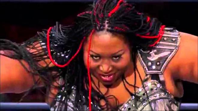 Awesome Kong Net Worth