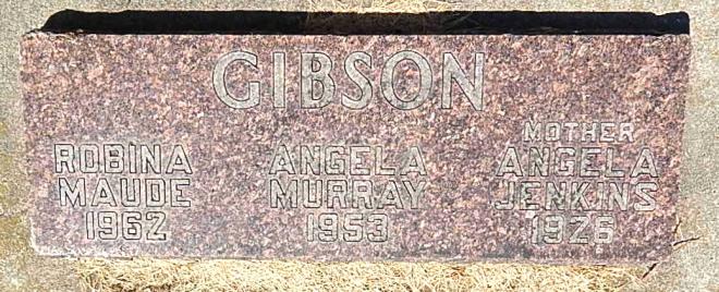 Angela Murray Gibson Net Worth