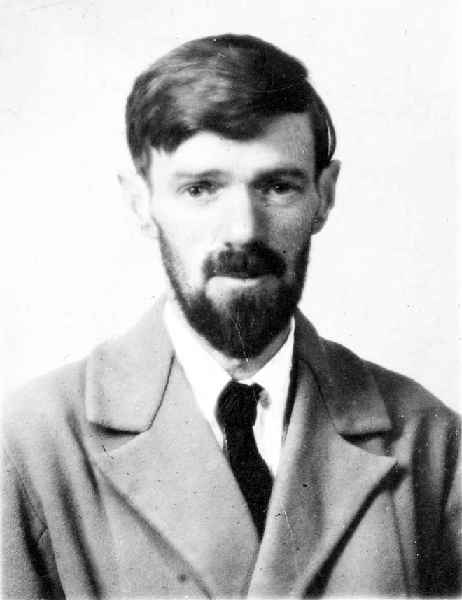 D.H. Lawrence Net Worth