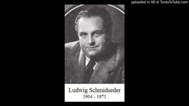 Ludwig Schmidseder Net Worth