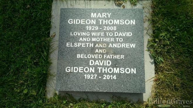 David Gideon Thomson Net Worth